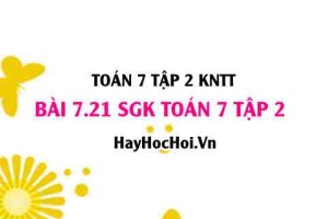 Bài 7.21 SGK Toán 7 tập 2 Kết nối tri thức